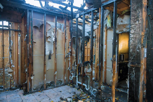Professional Smoke Damage Removal technician working in Harleysville, PA